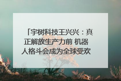 宇树科技王兴兴：真正解放生产力前 机器人格斗会成为全球受欢迎的赛事｜科技观察