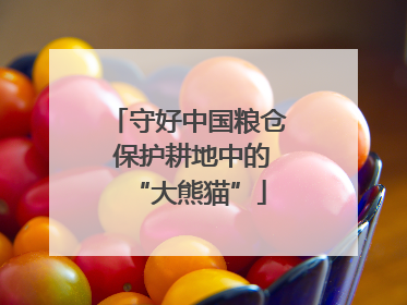 守好中国粮仓 保护耕地中的“大熊猫”