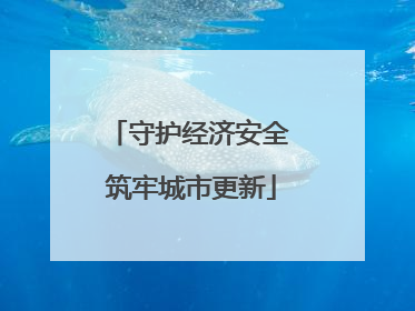 守护经济安全 筑牢城市更新