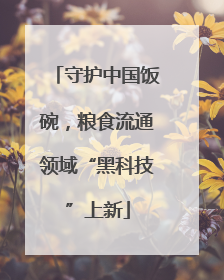 守护中国饭碗，粮食流通领域“黑科技”上新