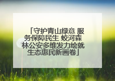 守护青山绿意 服务保障民生 蛟河森林公安多维发力绘就生态惠民新画卷