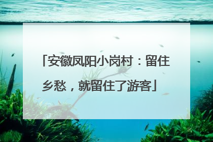 安徽凤阳小岗村：留住乡愁，就留住了游客