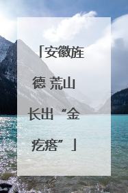 安徽旌德 荒山长出“金疙瘩”