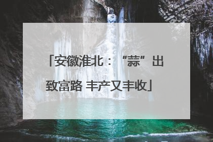 安徽淮北：“蒜”出致富路 丰产又丰收