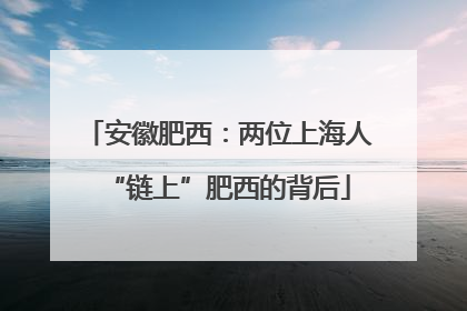 安徽肥西：两位上海人“链上”肥西的背后