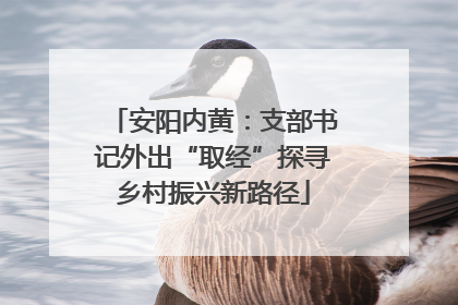 安阳内黄：支部书记外出“取经”探寻乡村振兴新路径
