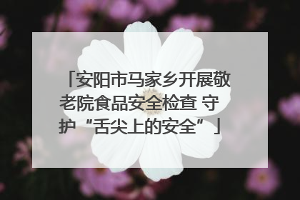 安阳市马家乡开展敬老院食品安全检查 守护“舌尖上的安全”