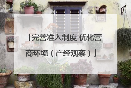完善准入制度 优化营商环境（产经观察）