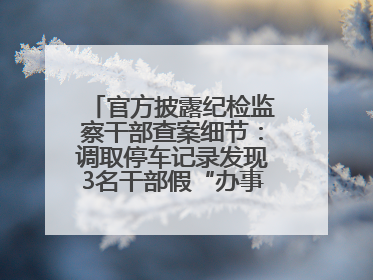 官方披露纪检监察干部查案细节：调取停车记录发现3名干部假“办事”真麻将