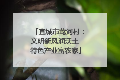 宜城市莺河村：文明新风润沃土 特色产业富农家