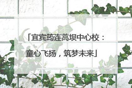 宜宾筠连蒿坝中心校：童心飞扬，筑梦未来