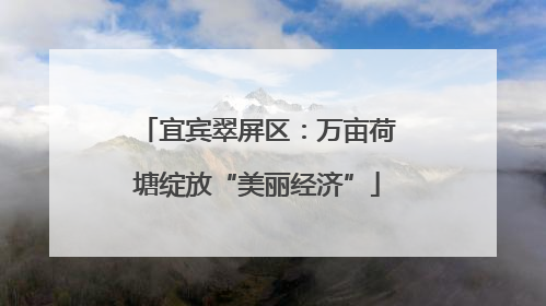 宜宾翠屏区：万亩荷塘绽放“美丽经济”