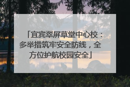 宜宾翠屏草堂中心校：多举措筑牢安全防线，全方位护航校园安全