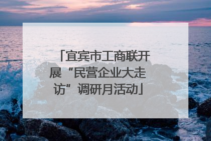 宜宾市工商联开展“民营企业大走访”调研月活动