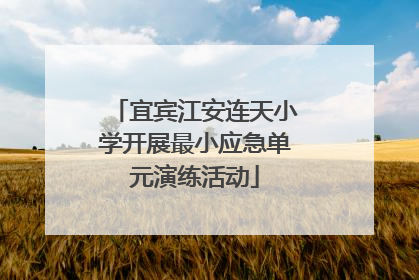 宜宾江安连天小学开展最小应急单元演练活动