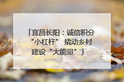 宜昌长阳：诚信积分“小杠杆” 撬动乡村建设“大能量”