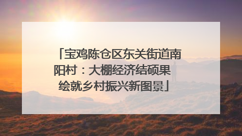 宝鸡陈仓区东关街道南阳村：大棚经济结硕果 绘就乡村振兴新图景