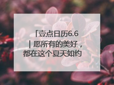 壹点日历6.6｜愿所有的美好，都在这个夏天如约而至！早安