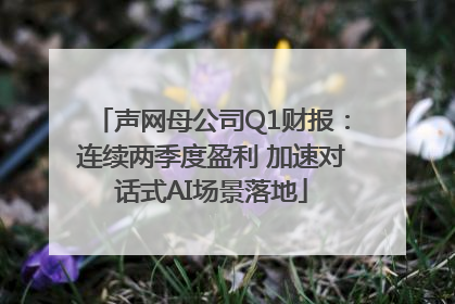 声网母公司Q1财报：连续两季度盈利 加速对话式AI场景落地