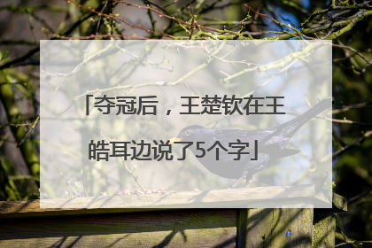 夺冠后，王楚钦在王皓耳边说了5个字