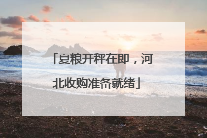 夏粮开秤在即，河北收购准备就绪