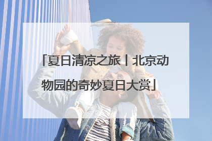 夏日清凉之旅丨北京动物园的奇妙夏日大赏