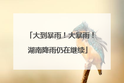 大到暴雨！大暴雨！湖南降雨仍在继续