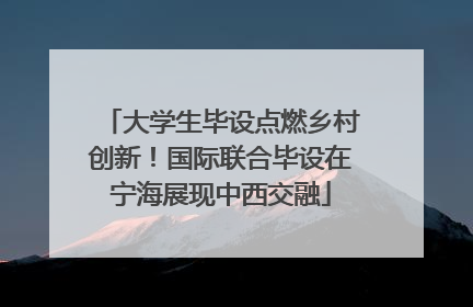 大学生毕设点燃乡村创新！国际联合毕设在宁海展现中西交融