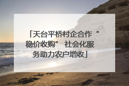天台平桥村企合作“稳价收购” 社会化服务助力农户增收