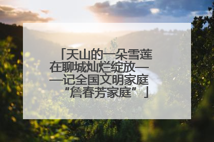 天山的一朵雪莲在聊城灿烂绽放——记全国文明家庭“詹春芳家庭”