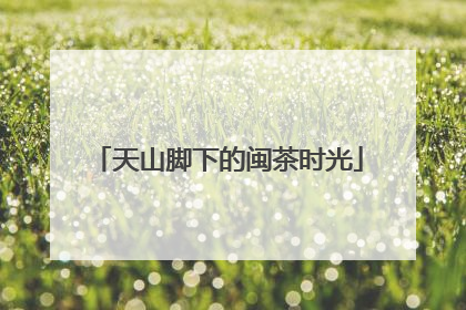 天山脚下的闽茶时光