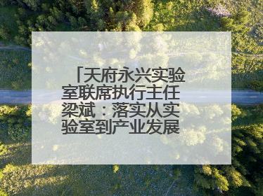 天府永兴实验室联席执行主任梁斌：落实从实验室到产业发展的最后一公里