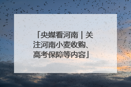 央媒看河南｜关注河南小麦收购、高考保障等内容