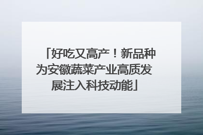 好吃又高产！新品种为安徽蔬菜产业高质发展注入科技动能