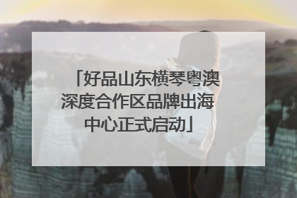 好品山东横琴粤澳深度合作区品牌出海中心正式启动