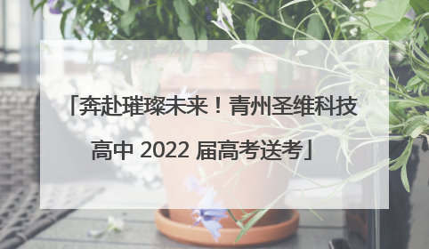 奔赴璀璨未来！青州圣维科技高中 2022 届高考送考
