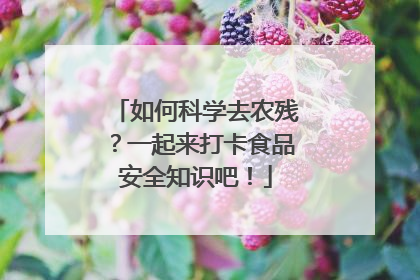 如何科学去农残？一起来打卡食品安全知识吧！