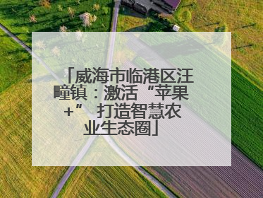 威海市临港区汪疃镇：激活“苹果+” 打造智慧农业生态圈