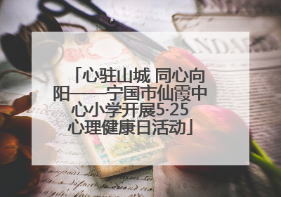 心驻山城 同心向阳——宁国市仙霞中心小学开展5·25心理健康日活动