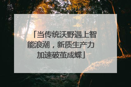 当传统沃野遇上智能浪潮，新质生产力加速破茧成蝶