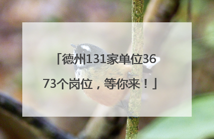 德州131家单位3673个岗位，等你来！