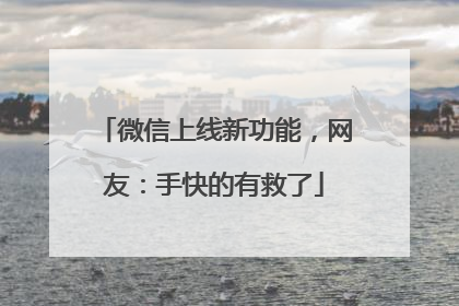 微信上线新功能，网友：手快的有救了