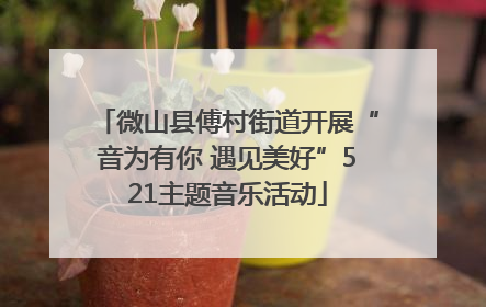 微山县傅村街道开展“音为有你 遇见美好”521主题音乐活动