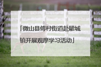 微山县傅村街道赴驩城镇开展观摩学习活动