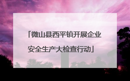 微山县西平镇开展企业安全生产大检查行动