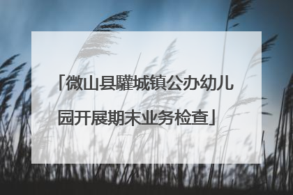 微山县驩城镇公办幼儿园开展期末业务检查