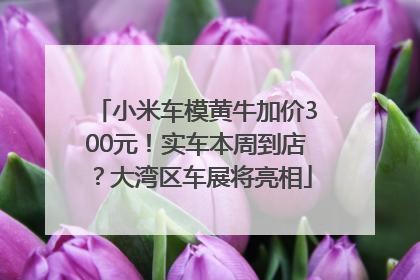 小米车模黄牛加价300元！实车本周到店？大湾区车展将亮相