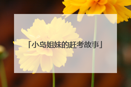 小岛姐妹的赶考故事