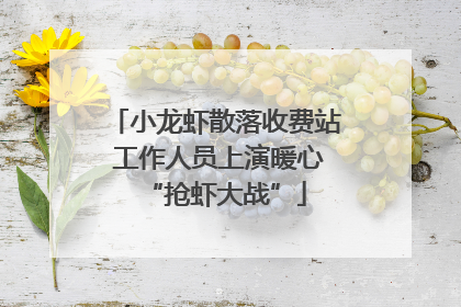 小龙虾散落收费站 工作人员上演暖心“抢虾大战”