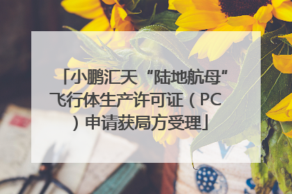 小鹏汇天“陆地航母”飞行体生产许可证（PC）申请获局方受理